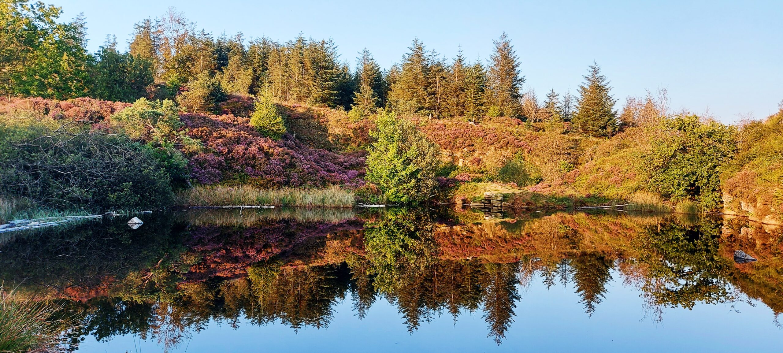 You are currently viewing August on the Fell